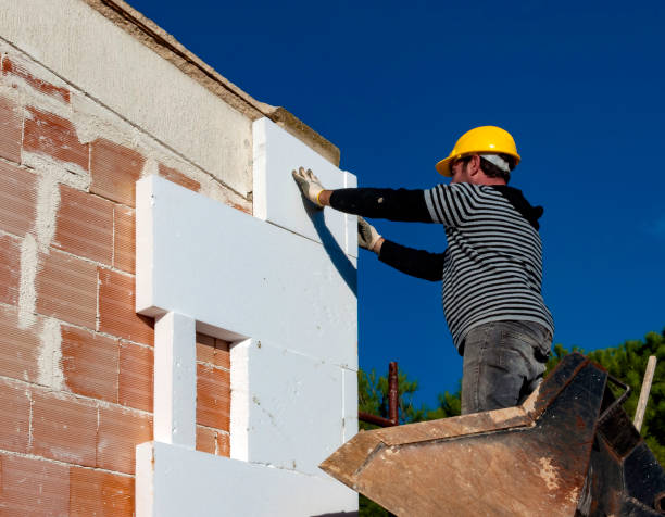 Best Insulation Replacement Services  in Keene, TX