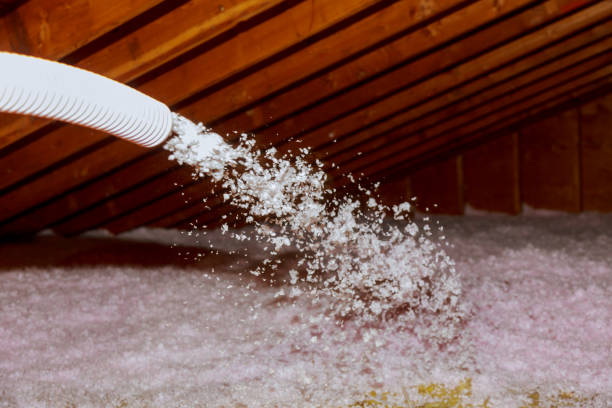 Best Best Insulation Companies  in Keene, TX