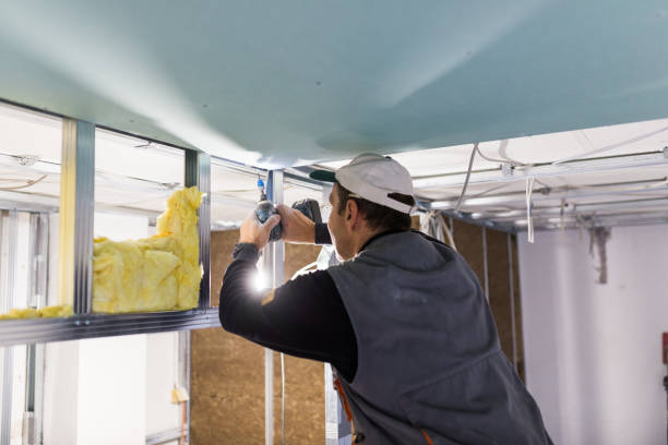 Best Local Insulation Services  in Keene, TX
