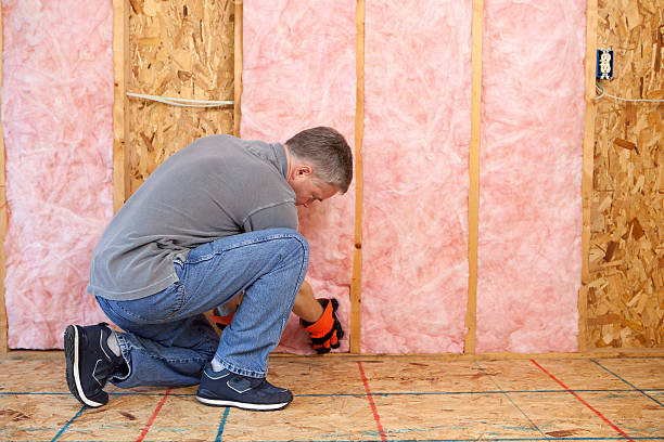 Best Insulation Contractor Near Me  in Keene, TX