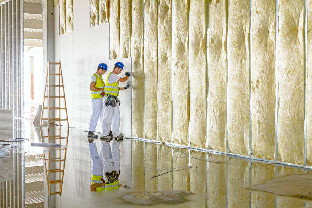 Best Attic Insulation Installation  in Keene, TX